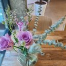 노은로2 이미지