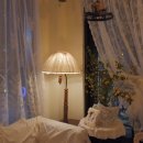 강릉 오란다 이미지