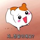 라이언학원 - 서구 계백로 1135 | 라이언학원