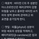 수림결혼정보 이미지