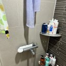 노온사동 365 이미지