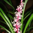 길상초등학교 이미지