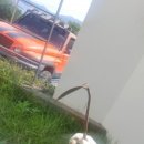 바이런베이 이미지