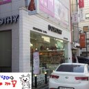 도로시펫 미용실 이미지