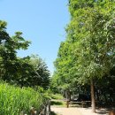 유아숲체험원(2) 이미지