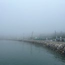 때뿌루민박 이미지