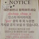 ChapChap(찹찹) 이미지