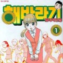 해바라기 취업 이미지