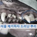 오복동물치과병원 이미지