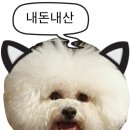 복어잡는사람들 두류점 이미지