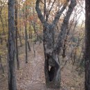 은하수펜션 이미지