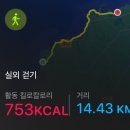 스테이 도민 | 제주도 100KM 트레킹 여행, 올레코스 &amp; 올레스테이