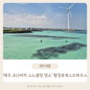 제주 코난해변 코난비치 스노쿨링 명소 샤워 안내 파라솔 스노클링 대여 월정뷰게스트하우스 후기