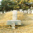 이여발묘 Daum카페