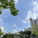 서울은평초등학교 | 은평구 대장은 왜 녹번일까? 힐스테이트 녹번 임장 후기