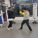 복싱그자체 이미지