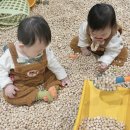 9개월 아기랑 양산 오슬로파크 리틀히어로zoo 방문후기