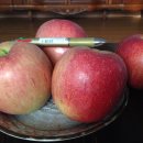 감당농장 이미지