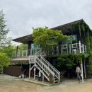 더멍멍 충주점 | [충북/충주] 멋진 나무와 호수 뷰가 있는 충주카누캠핑장 / May. 2025