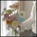 보문로즈 이미지