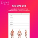 수연핏 네이버블로그
