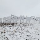 하늘다리 이미지