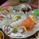 홍대횟집 | 연남동횟집 홍대모듬회 맛집 바다생고기 후기