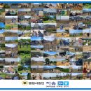 행정사법인 지음 이미지