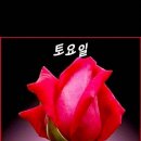 향기 - 남양주시 미금로 239 | 향기