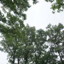 남원 사직단 이미지