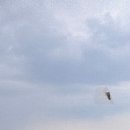 광교호수공원로 이미지