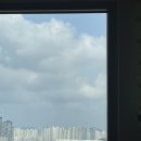 세종투어 이미지