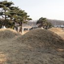 심희수 교지 및 묘 Daum카페