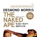 오송다시봄날의원 이미지