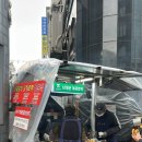 블루코인 이미지