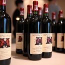 마스글로벌 이미지