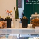 비누정원