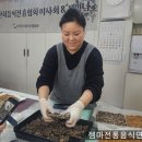 마이산 정과마을 네이버블로그
