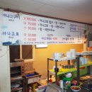 일조바다장어 이미지