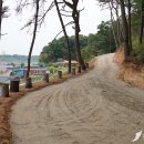 천년초마을영농조합법인 이미지