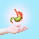 침강정 | 속쓰림·소화불량 잡는 카베진: 국내 약국 구매부터 복용법, 부작용까지