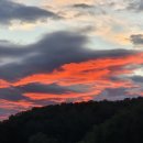 주은렌트카 이미지