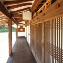 [전북] 고창 청농원 핑크뮬리축제 이미지