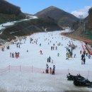 태백부흥한우 이미지