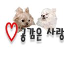 제이에이치피 이미지