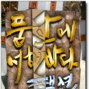 품안에 서해바다 이미지