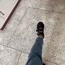 예스캣 | 대전 궁디팡팡 캣페스타 후기: 10만원 쓰고 왔다