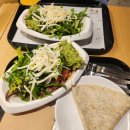 바오도그 이미지