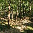 보물섬캠핑장 이미지