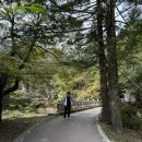 가을코스2 | [충북 보은군] 가을 속리산 문장대 코스 등반 후기